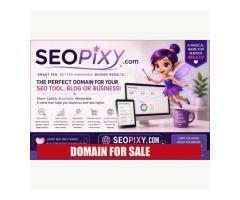 SEOPixy.com – Premium SEO Domain Name for Sale