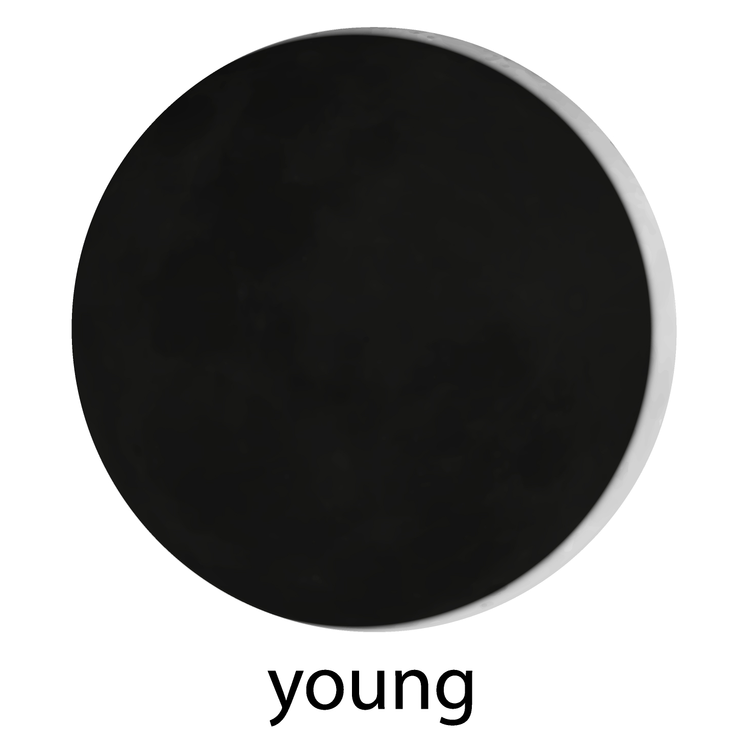 Young Moon